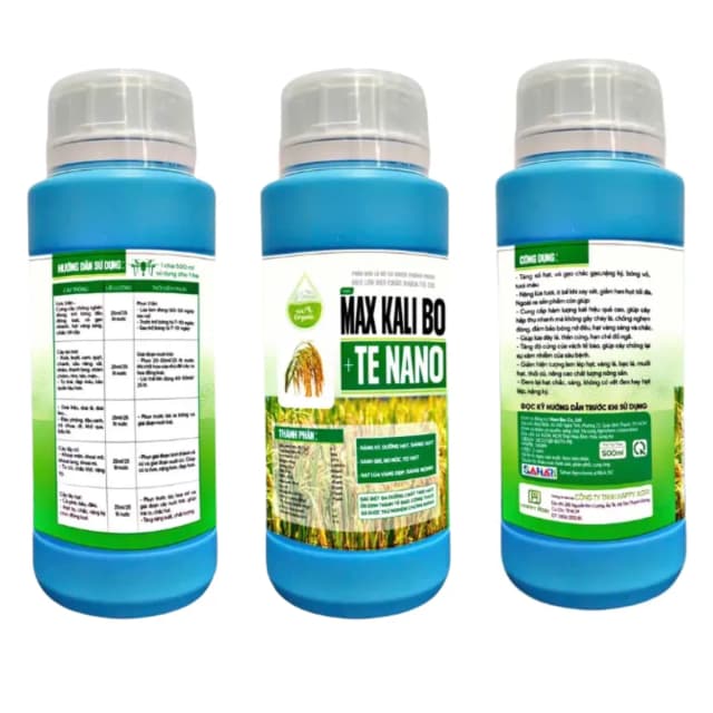 NBC LỚN HẠT-CHẮC CHẮN-TO CỦ - MAX KALI BO - 500ML
