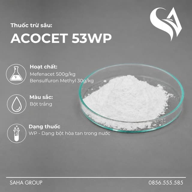 Thuốc Trừ Cỏ ACOCET 53WP
