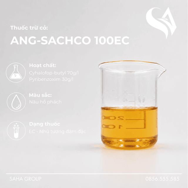 Thuốc trừ cỏ ANG-SACHCO 100EC