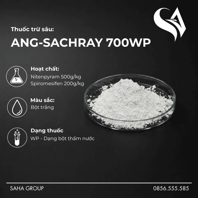 Thuốc trừ sâu ANG-SACHRAY 700WP