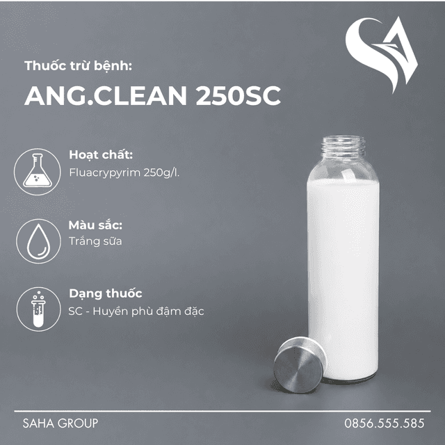 Thuốc trừ bệnh ANG.CLEAN 250SC