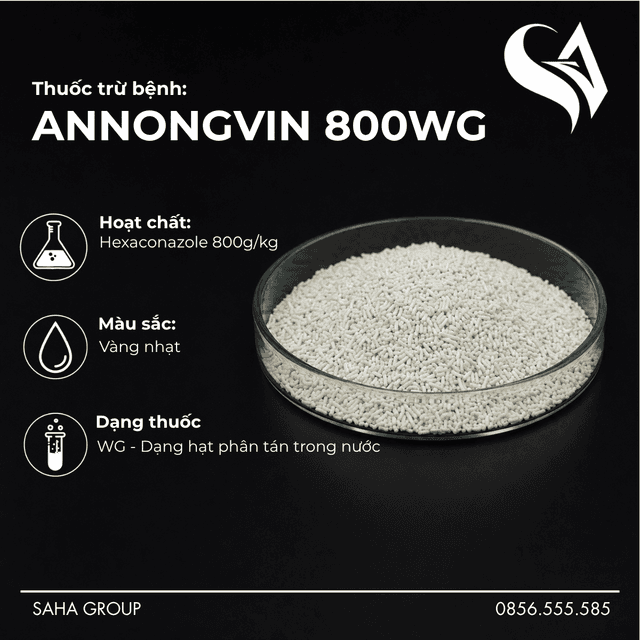 Thuốc trừ bệnh ANNONGVIN 800WG