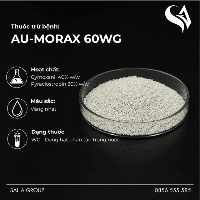 Thuốc trừ bệnh AU-MORAX 60WG