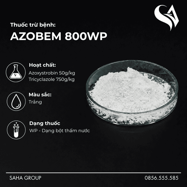Thuốc trừ bệnh AZOBEM 800WP