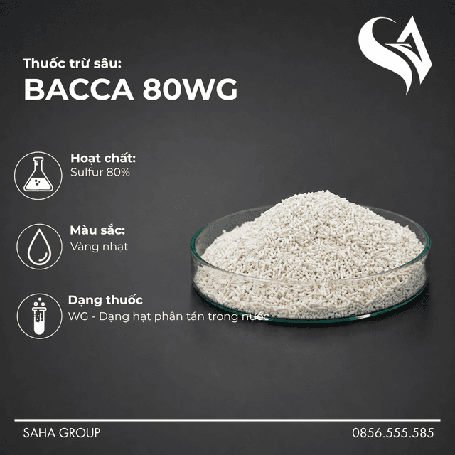 Thuốc trừ sâu BACCA 80WG