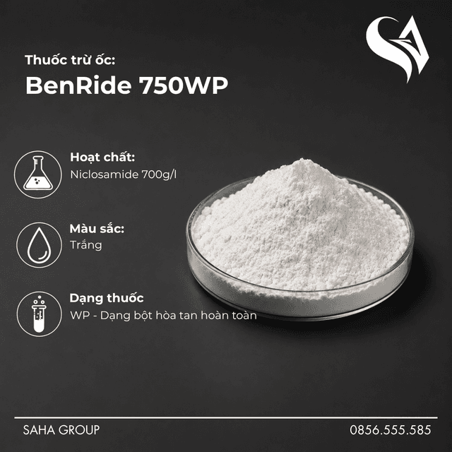 Thuốc trừ ốc BenRide 750WP