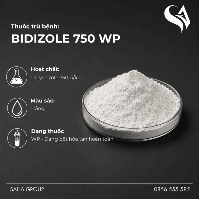 Thuốc trừ bệnh BIDIZOLE 750 WP