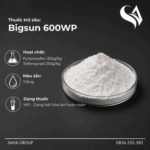 Thuốc trừ sâu Bigsun 600WP