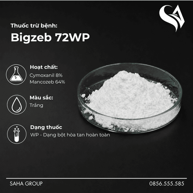 Thuốc trừ bệnh Bigzeb 72WP
