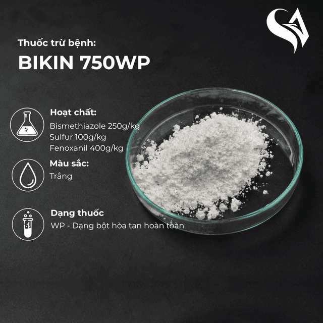 Thuốc trừ bệnh BIKIN 750WP