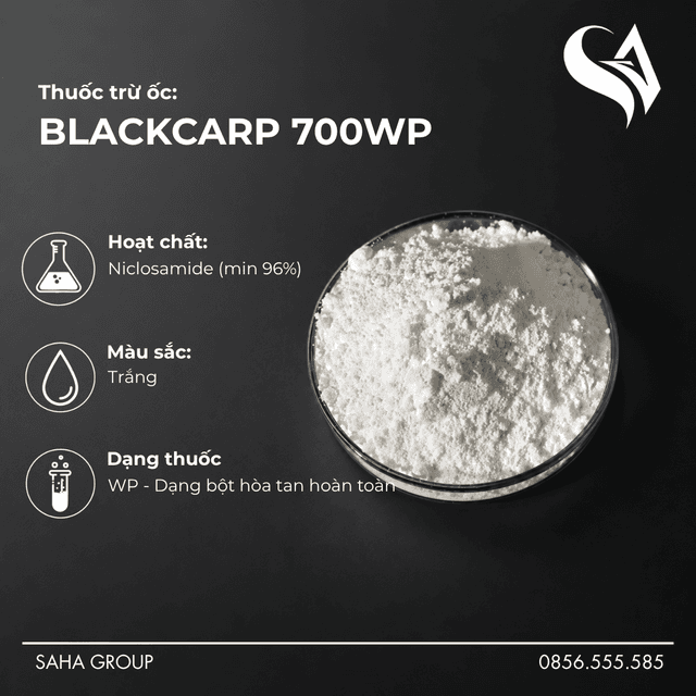 Thuốc trừ ốc BLACKCARP 700WP