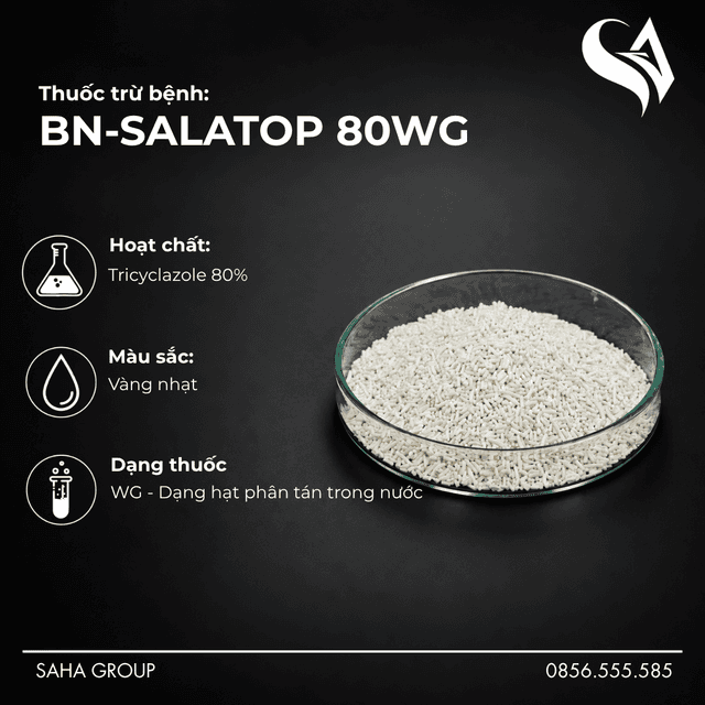 Thuốc trừ bệnh BN-SALATOP 80WG