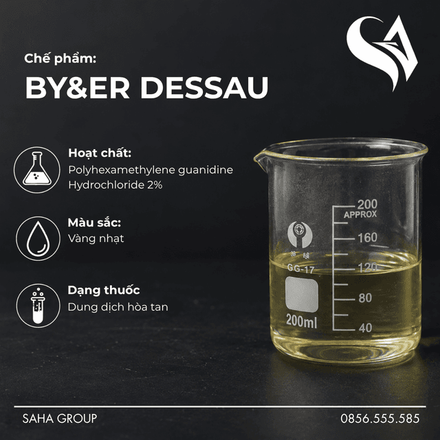 Chế phẩm BY&ER DESSAU