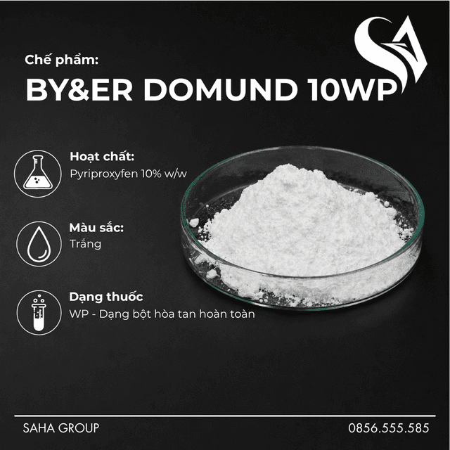Chế phẩm BY&ER DOMUND 10WP