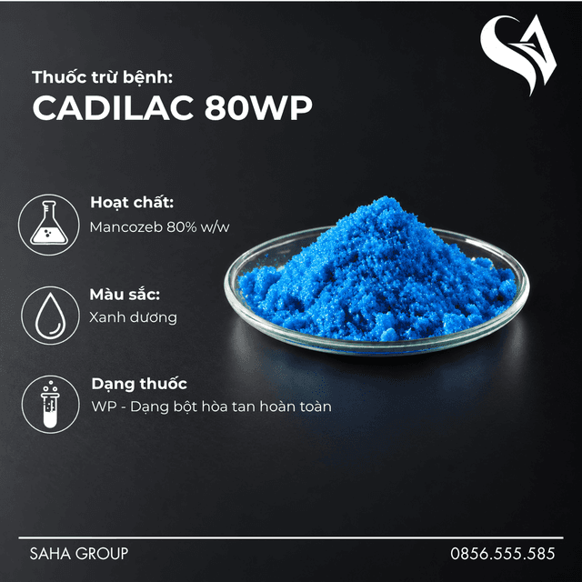 Thuốc trừ bệnh CADILAC 80WP - MÀU XANH