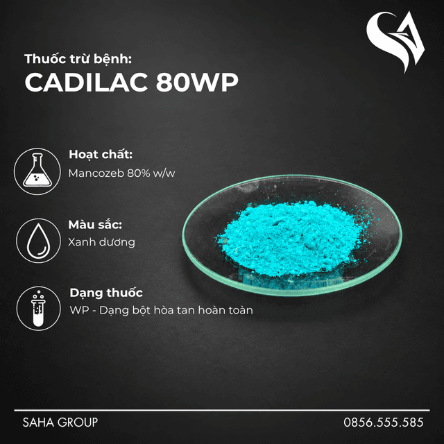 Thuốc trừ bệnh CADILAC 80WP – Màu Green