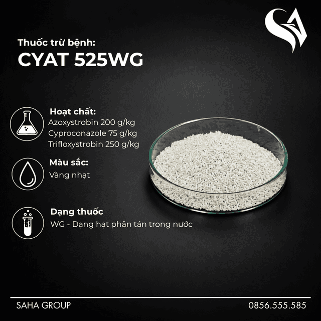 Thuốc trừ bệnh CYAT 525WG